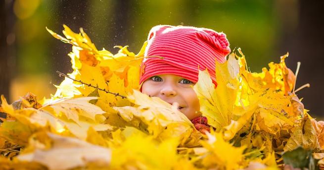 През първата половина на октомври времето ще е спокойно До