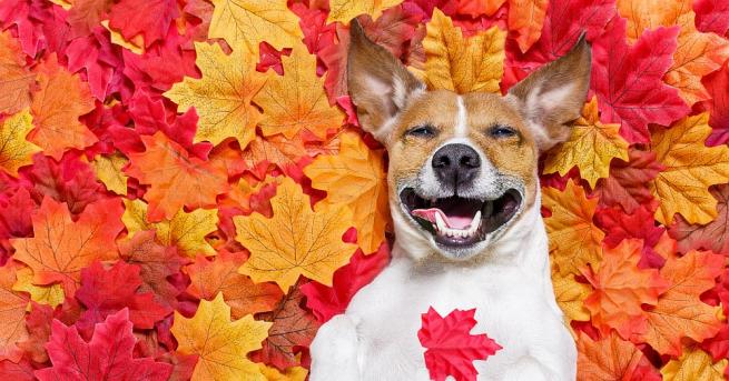 През почивните дни ще бъде предимно слънчево По значителна предимно ниска