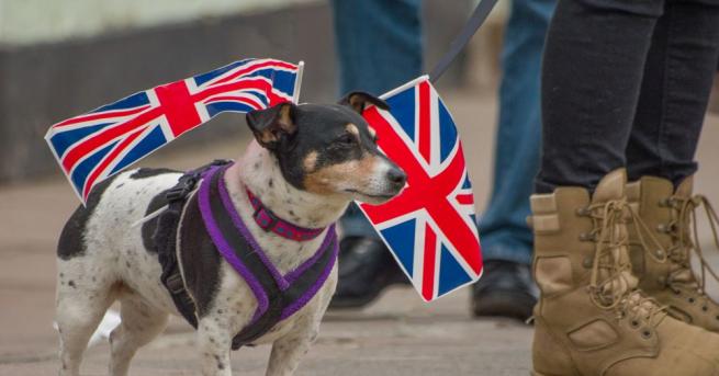 Необичаен протест срещу Брекзит ще се проведе в неделя в
