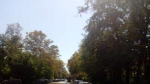 Голяма ВиК авария в Пловдив