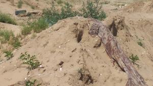 дюни Поморие