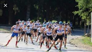 ролкови ски