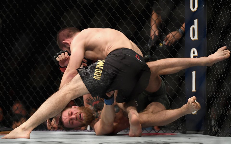 UFC 229