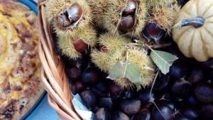 празник кестен