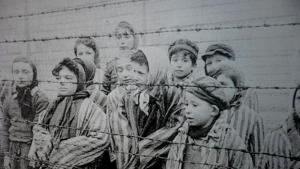 Черноморец