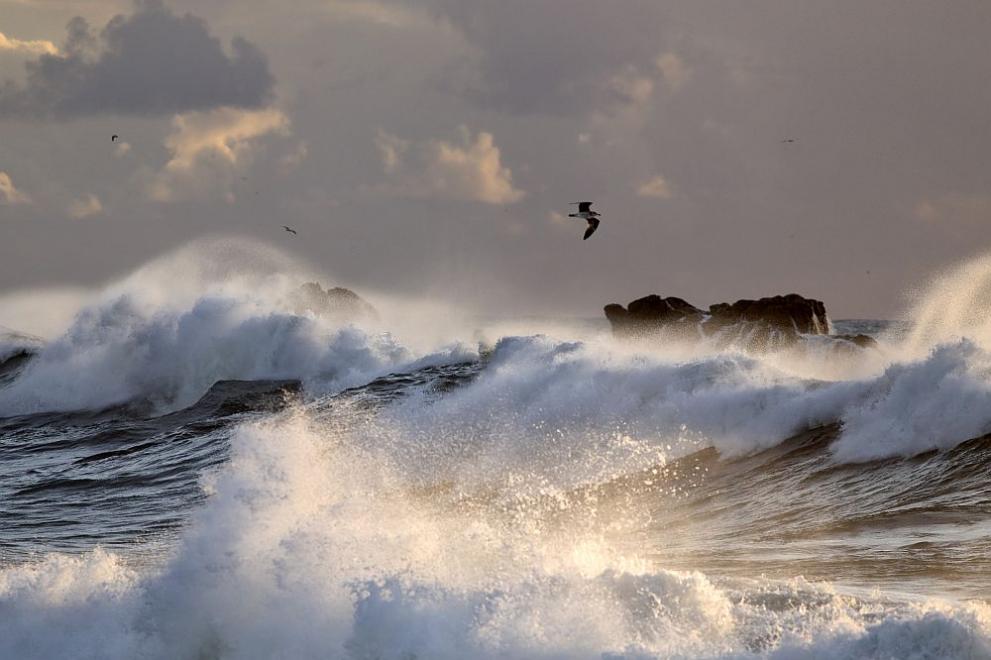  океан талази море 