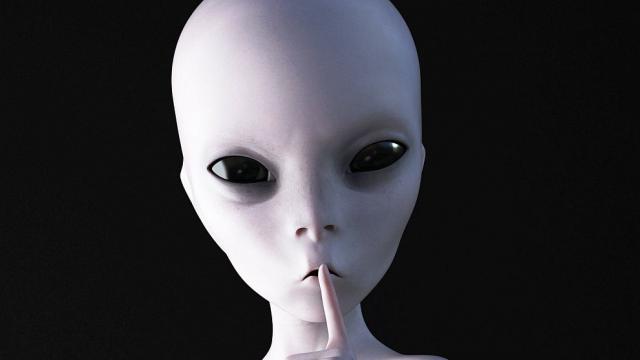 Британско семейство откри в двора си „извънземно” 