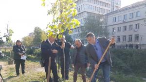 Залесяване