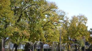 фотоконкурс