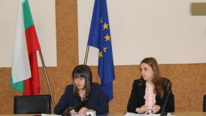 областен управител Видин