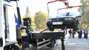 паяк Монтана