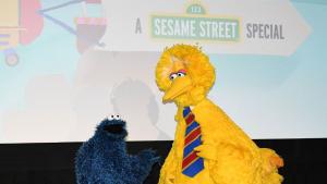 Карол Спини Голямото пиле