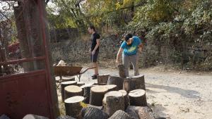 дърва Мездра Лик