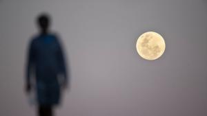 Луната турист