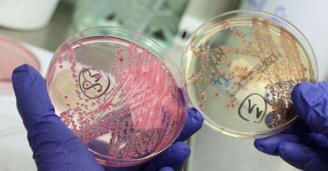 Учени откриха микроби живеещи при 89 градуса Целзий в силно