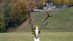 ловен трофей