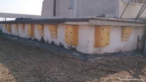 Монтирани са първите къщички за прилепи и бързолети в Стара