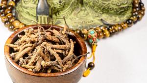 гъба ярсагумба