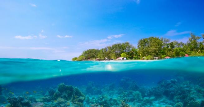Коралови рифове са застрашени не само от глобалното затопляне но