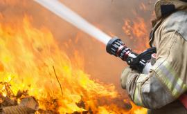  <p>Нов пожар избухна край Атина</p> 