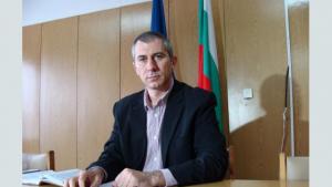 катастрофите с пешеходци