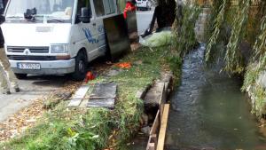 Извора Монтана