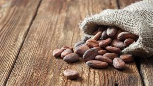 какао зърна