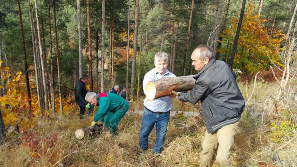  дърва общинари 
