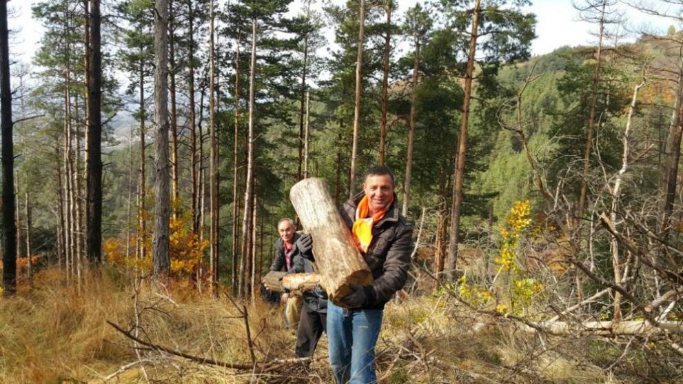  дърва общинари 