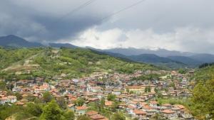 Гоце Делчев