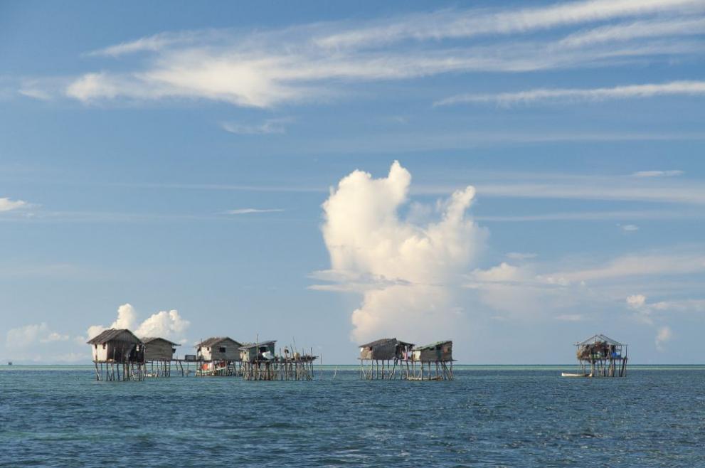 племена в океана 