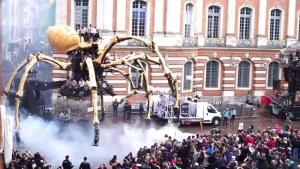 Тулуза паяк