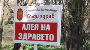 алея на здравето