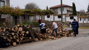 цепене на дърва