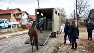 Враца акция