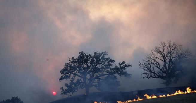 Най малко деветима човека са вече загиналите в горските пожари бушуващи
