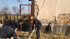 приют кучета Веслец