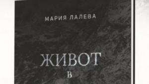 книга Плевен