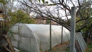 марухиана нови пазар