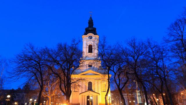 Гневна вълна в Сърбия заради статуя на сова, приличаща на пенис (СНИМКИ)