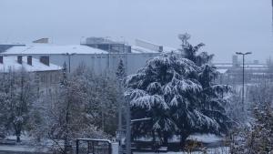 първи сняг в Благоевград