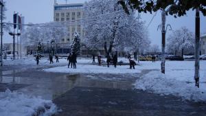 мездра зима