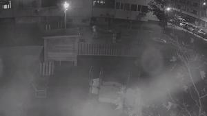 вандали камери