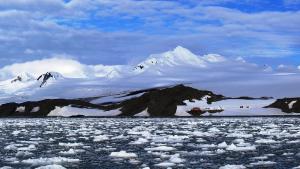 Първата група на 31 вата национална антарктическа експедиция замина тази сутрин