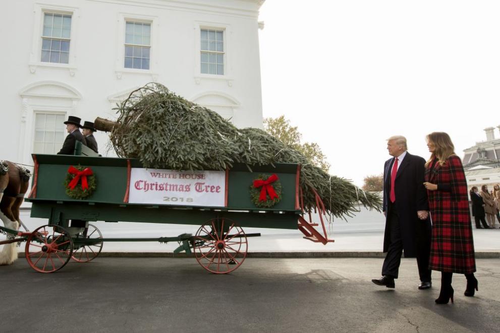 В Белия дом бе доставено коледното дърво