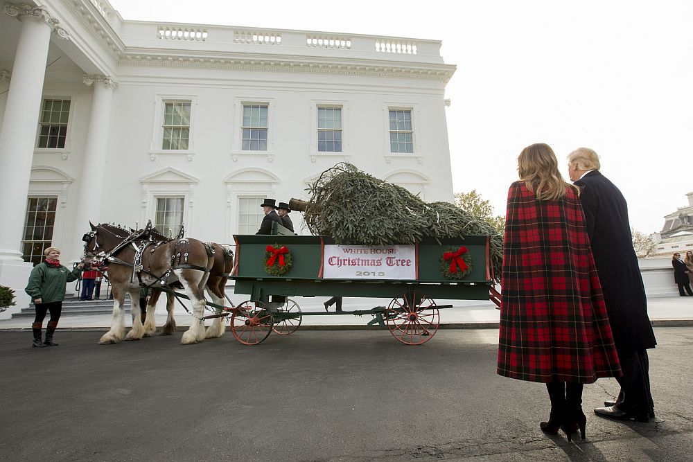 Мелания Тръмп
