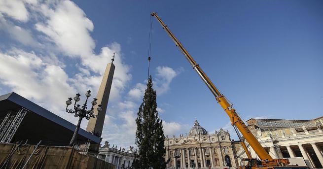 На площад Свети Петър във Ватикана беше инсталирана традиционната ватиканска