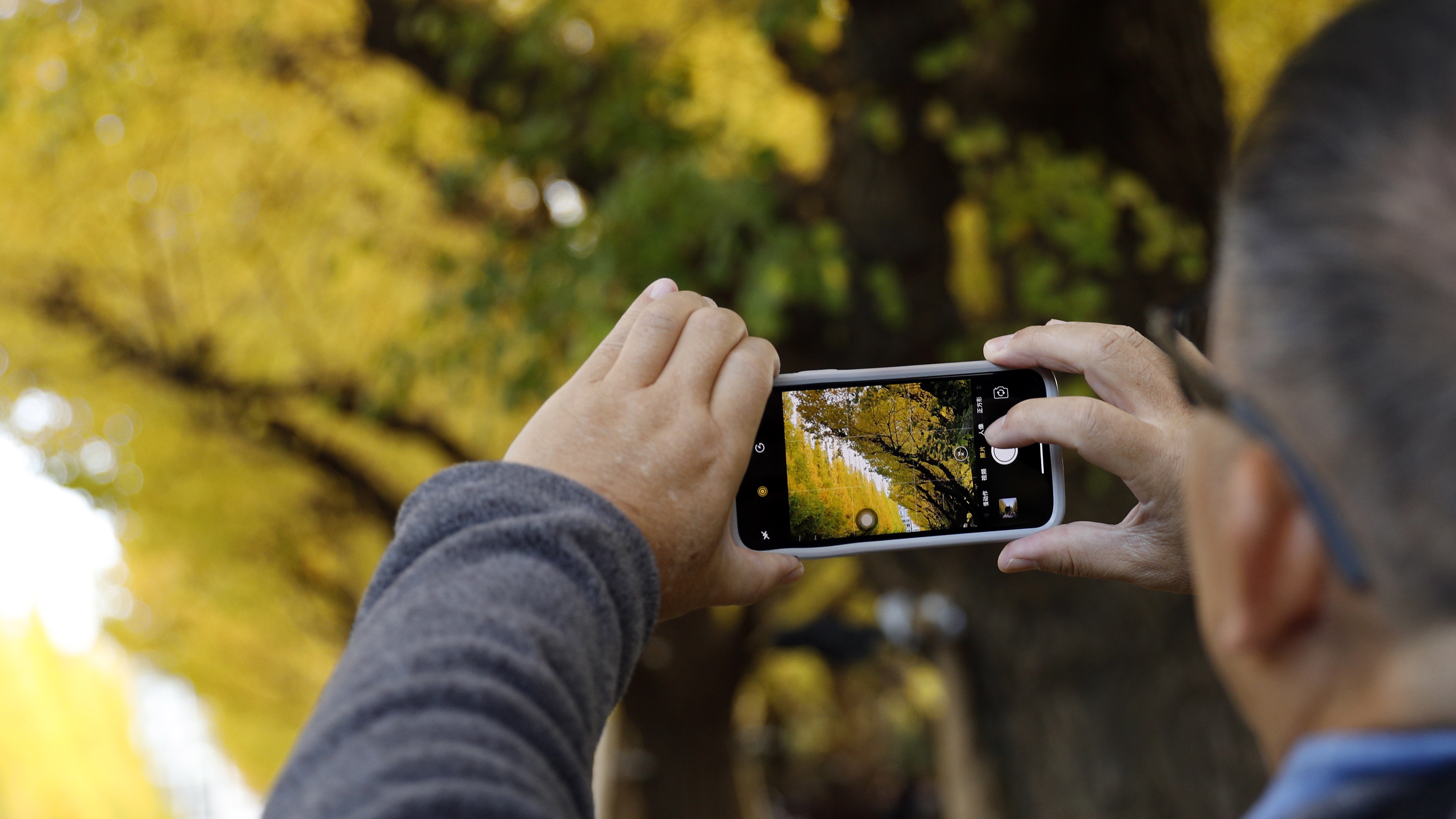 Хора се разхождат под есенния цвят на дървета от вида Гинко билоба в Токио, Япония. Жителите и гостите на столицата се наслаждават на сезонната промяна на цветовете на листата на Гинко през есента всяка година, когато листата се оцветяват от лятно зелено в есенно жълто