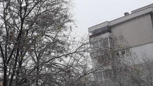 Шумен времето сняг