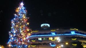 Дупница елха